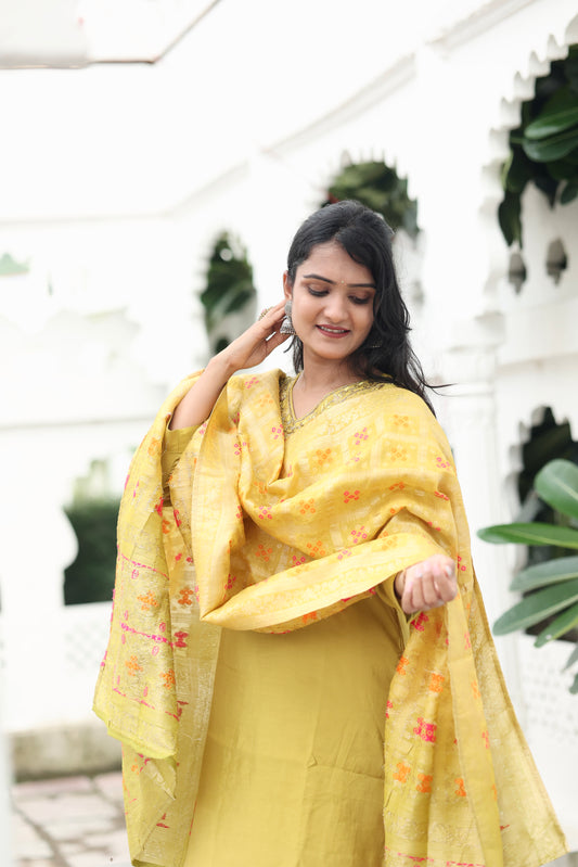 Zardosi Riwayat Salwar Suit Set
